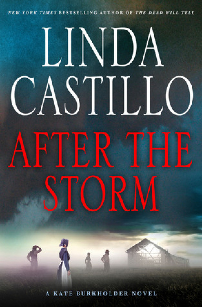 Free Download Kate Burkholder #7 After the Storm by Linda Castillo