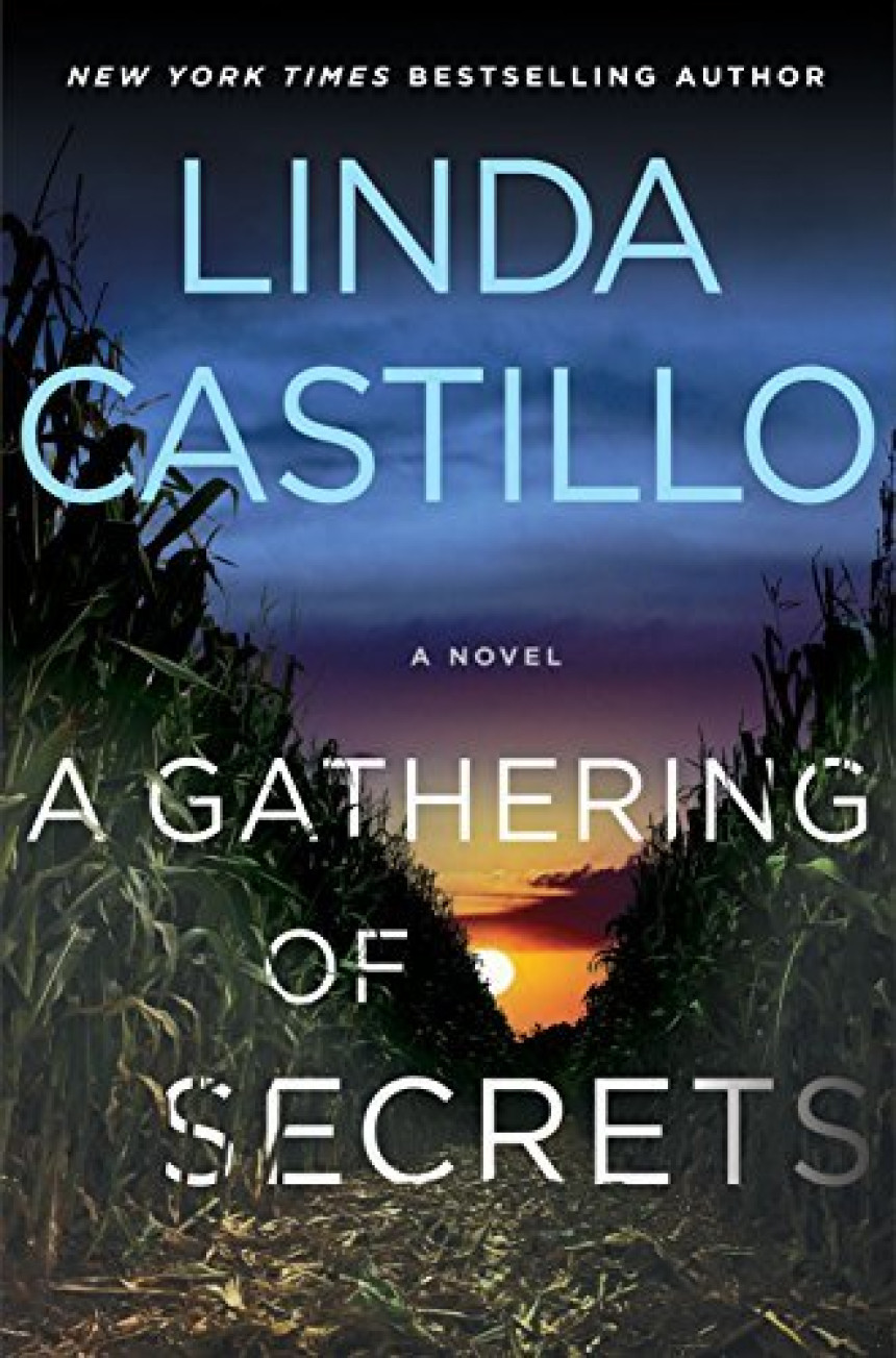 Free Download Kate Burkholder #10 A Gathering of Secrets by Linda Castillo