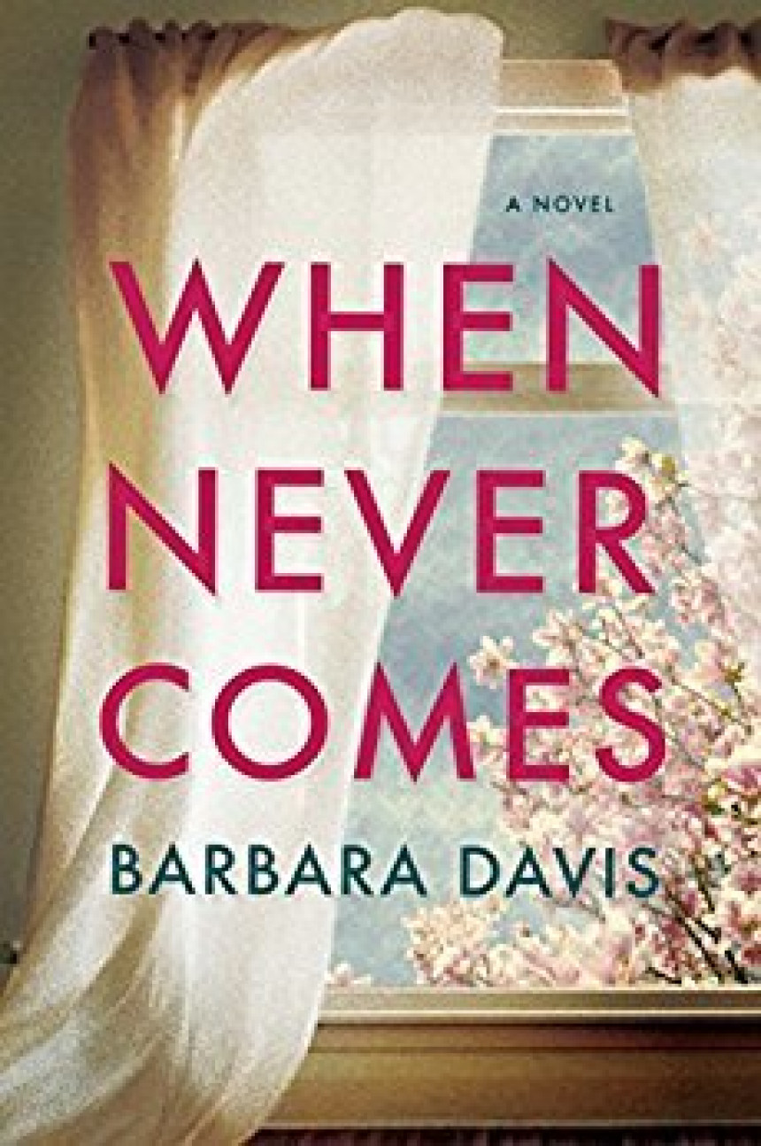 Free Download When Never Comes by Barbara Davis