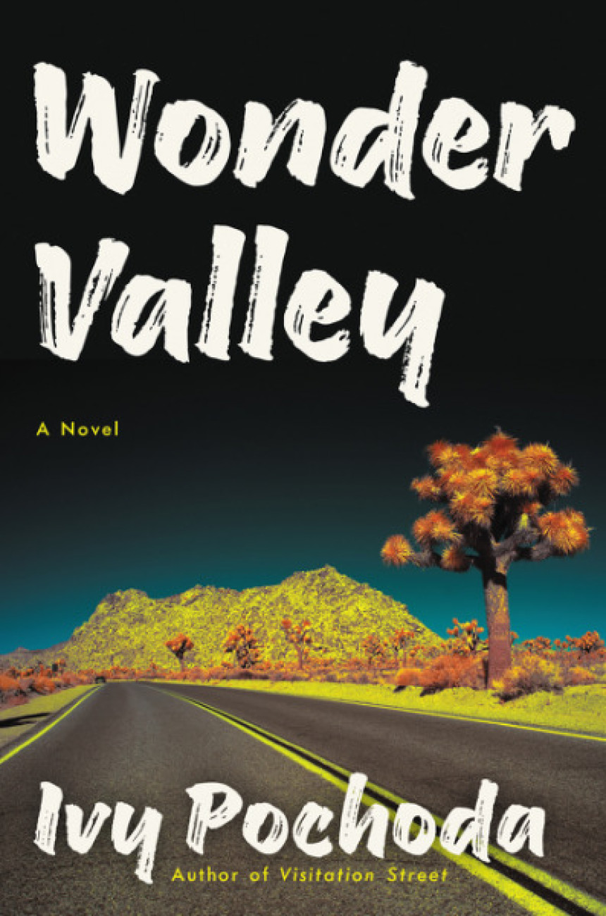 Free Download Wonder Valley by Ivy Pochoda