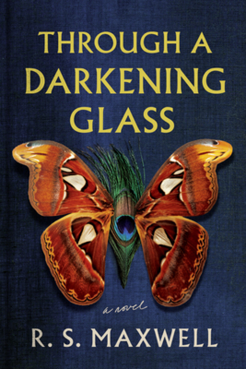 Free Download Through a Darkening Glass by R.S. Maxwell